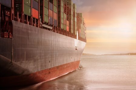 Social Sciences and the Humanities: Module 4 – Economics