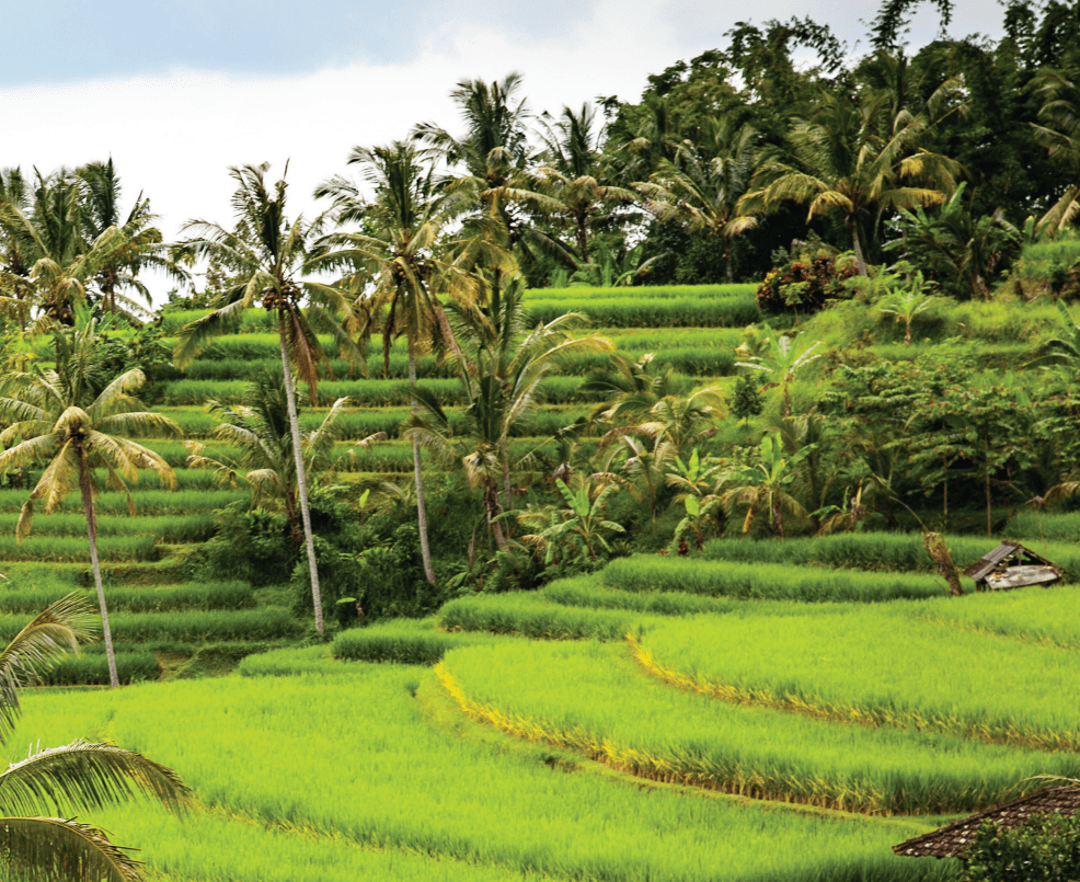 ASEAN Module 3: Issues Facing ASEAN