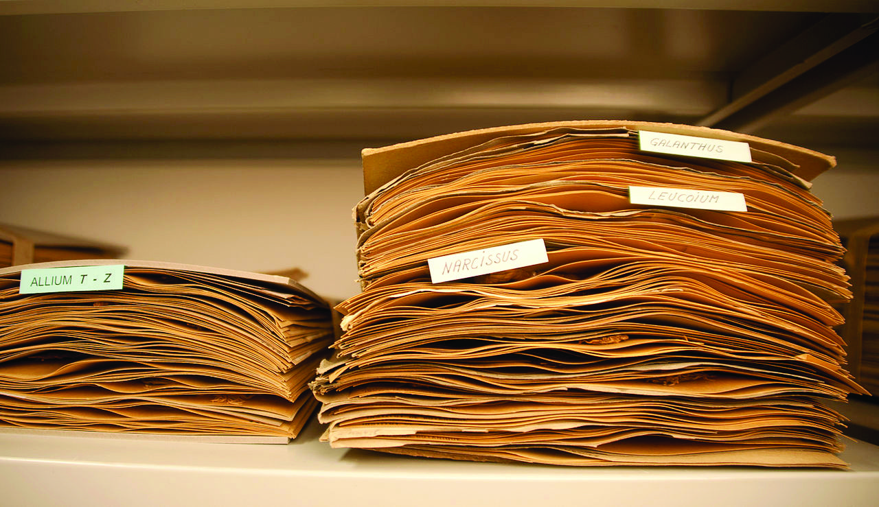 Research Skills 9: Analysing Qualitative Data