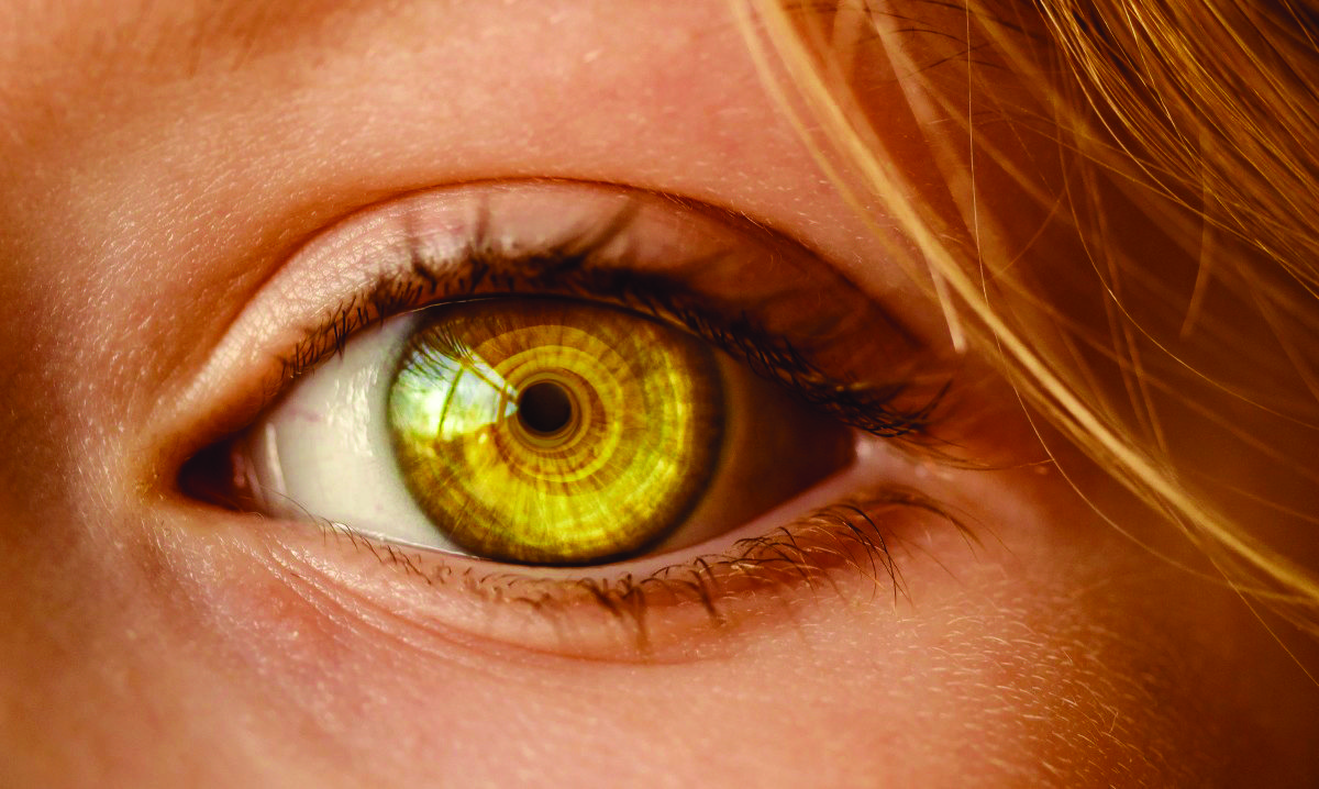 Research Skills 7: Observations